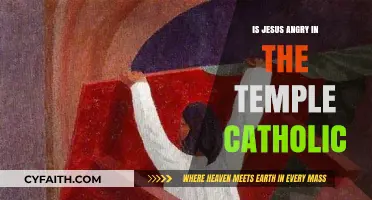 Jesus' Anger in the Temple: Catholic Perspective