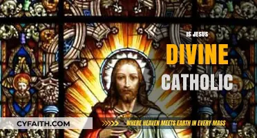 Is Jesus Divine? Exploring Catholic Teachings on Christ's Nature