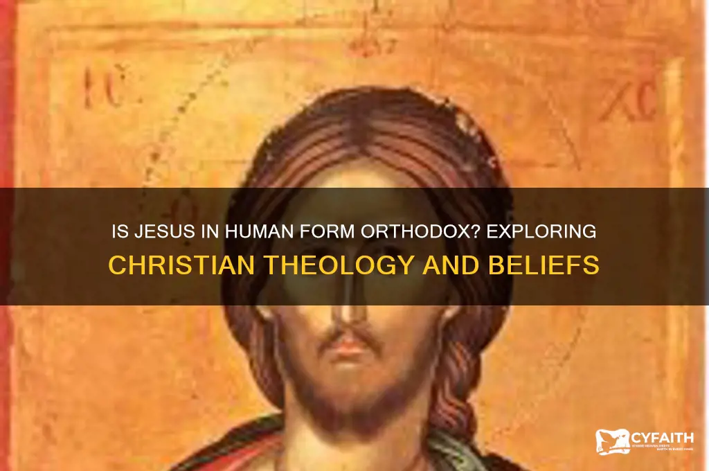 is jesus in human form orthodox