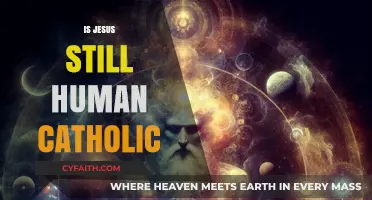 Is Jesus Still Human? Exploring Catholic Teachings on Christ's Dual Nature