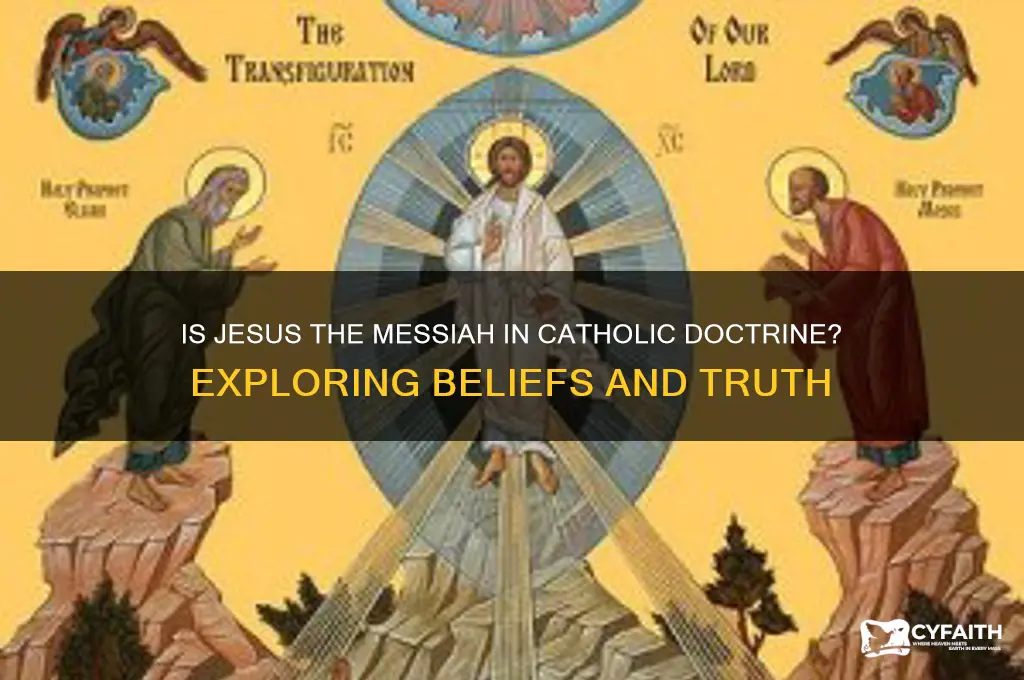 is jesus the messiah catholic