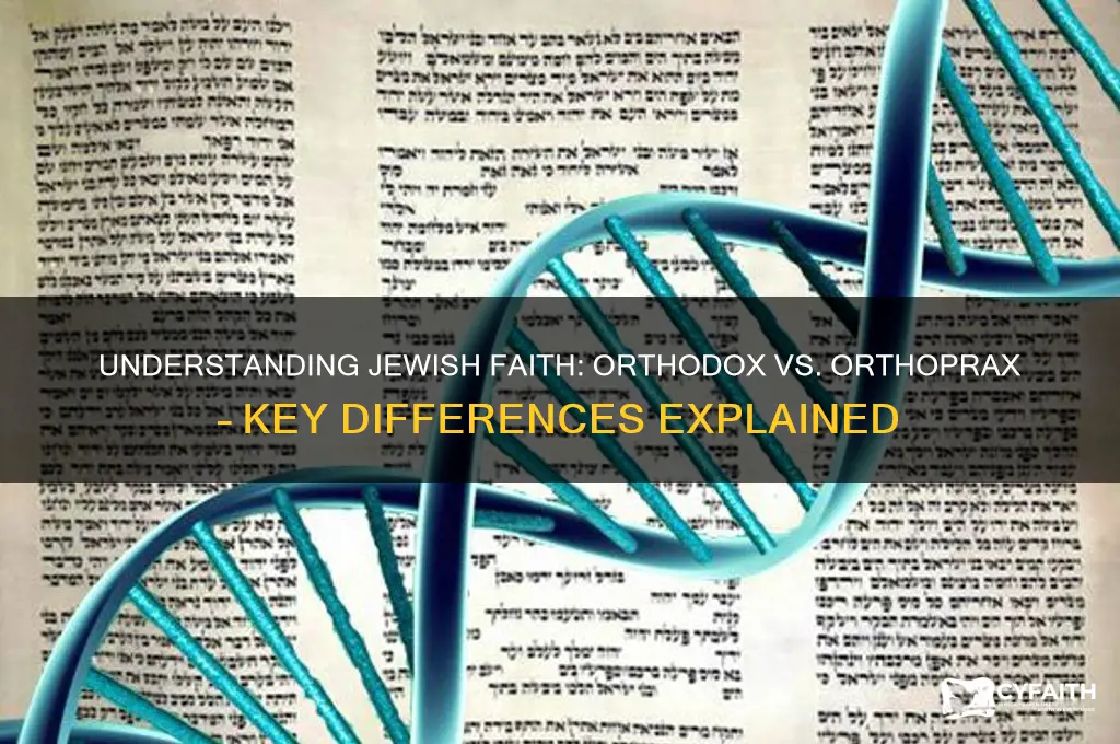 is jewish faith orthodox or orthoprox