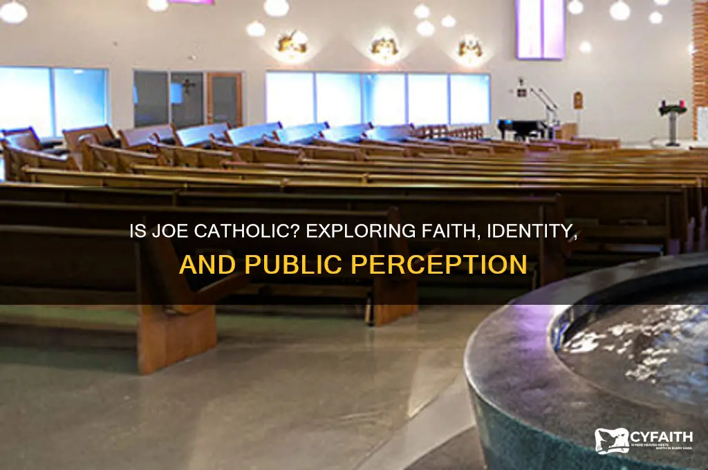 is joe catholic