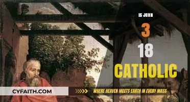 Is John 3:18 a Catholic Doctrine? Exploring Biblical Interpretations