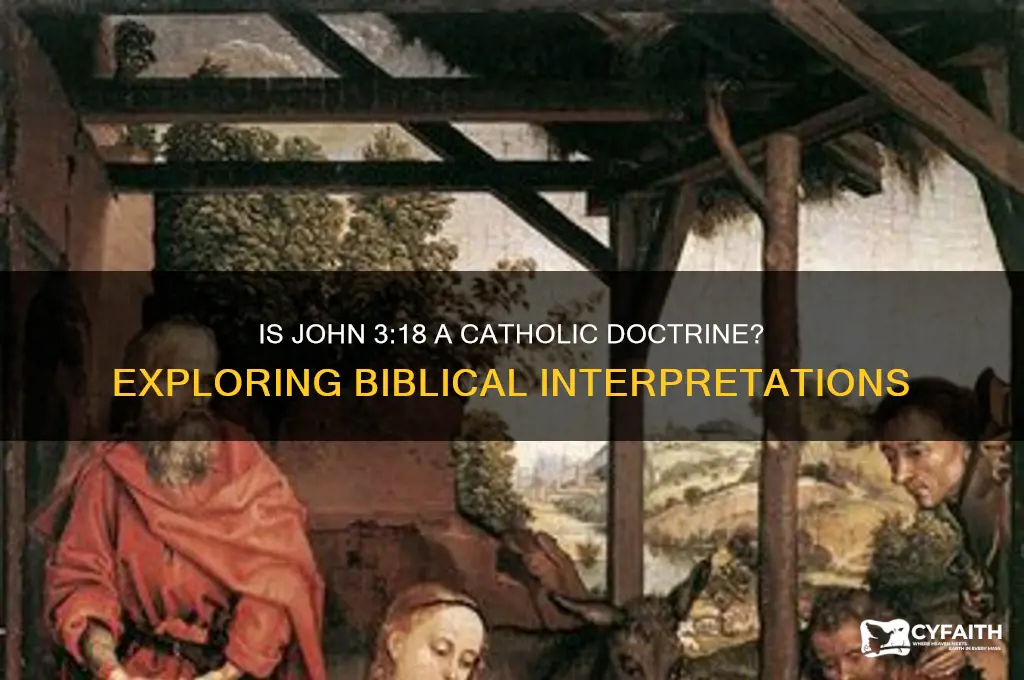 is john 3 18 catholic
