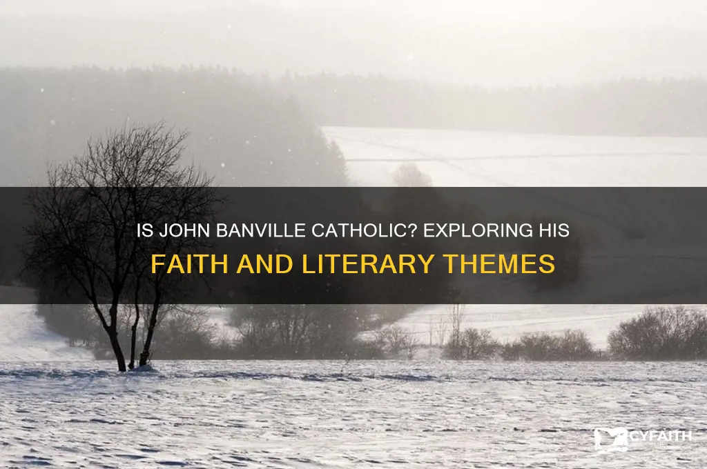is john banville catholic