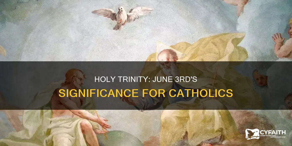 is june 3 the holy trinity catholic