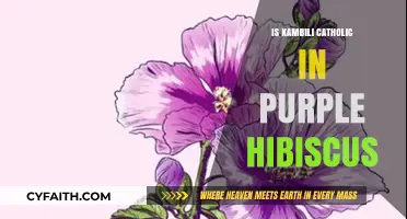 Kambili's Catholic Faith in Purple Hibiscus: A Complex Portrait