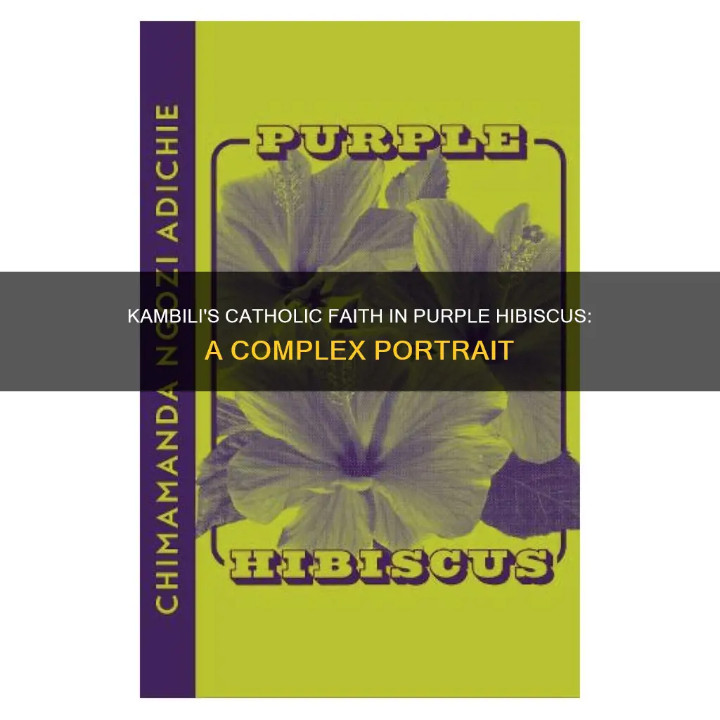 is kambili catholic in purple hibiscus