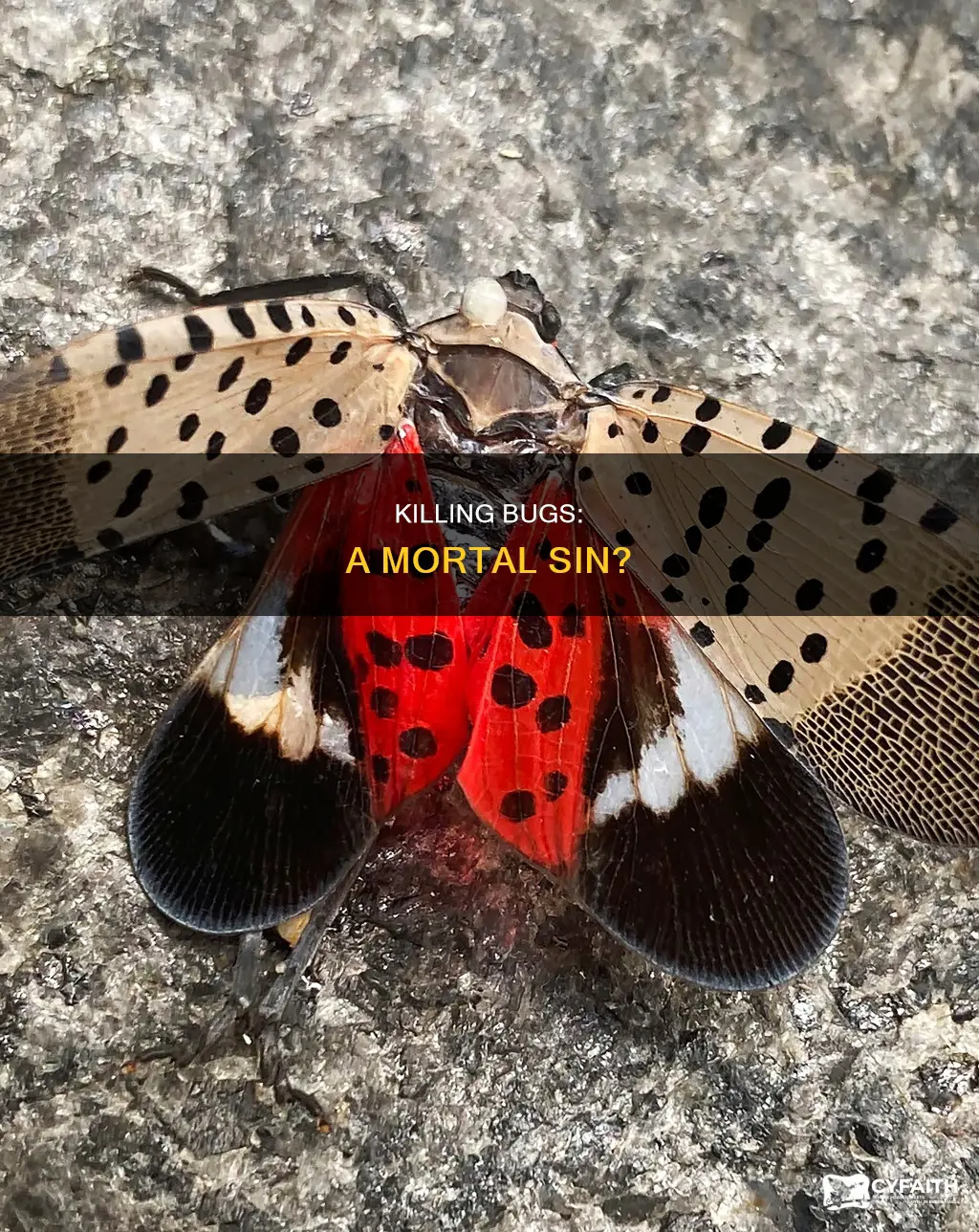 is killing bugs a mortal sin catholic answers
