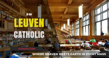 Is KU Leuven Still a Catholic University Today? Exploring Its Identity