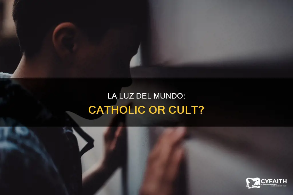 is la luz del mundo catholic