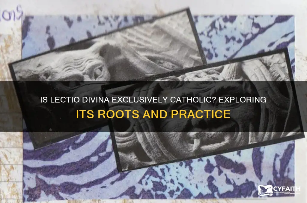 is lectio divina catholic