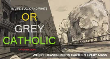 Life's Shades: Black, White, and Grey Catholicism