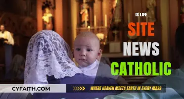 Is LifeSiteNews Truly Catholic? Examining Its Faith and Values