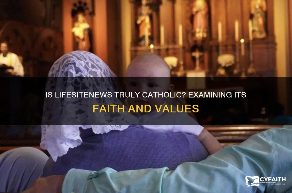 is life site news catholic