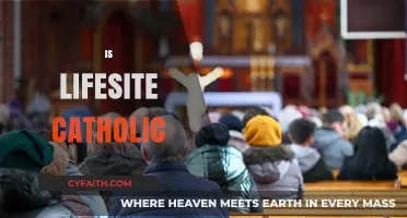 Is LifeSite Catholic? Exploring Faith, Values, and Editorial Stance