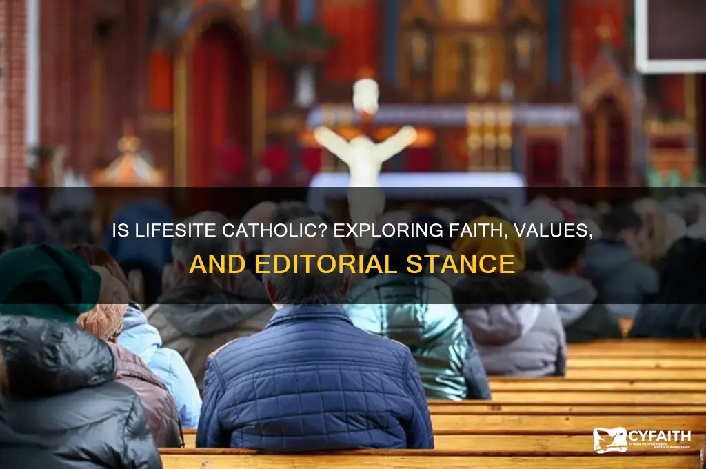 is lifesite catholic
