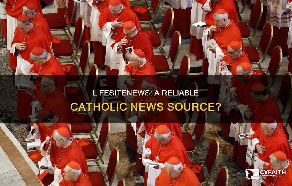 is lifesitenews a reliable source of catholic news
