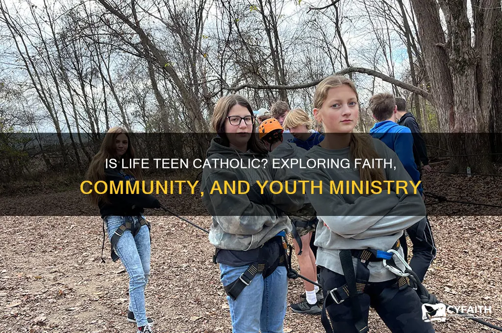 is lifw teen catholic