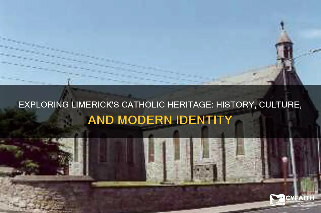 is limerick catholic