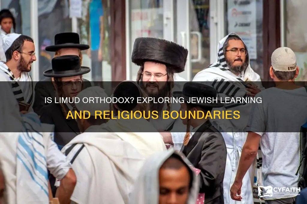 is limud orthodox