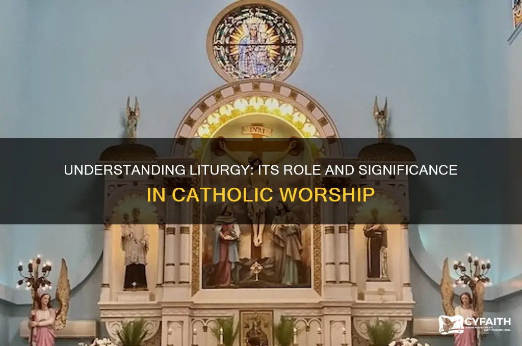 is litugy for catholics