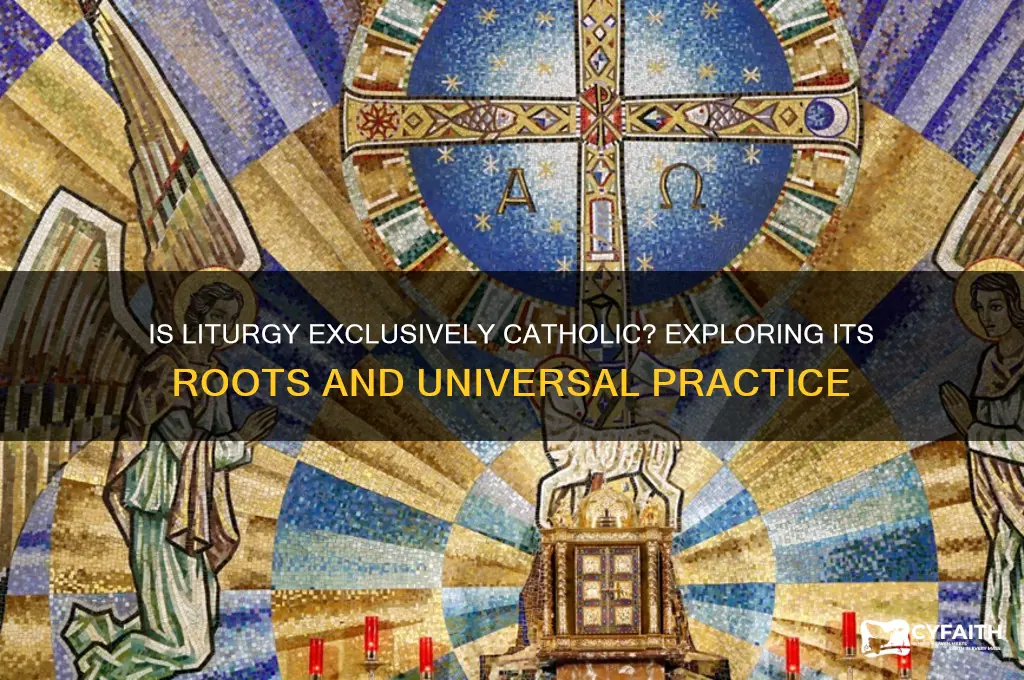 is liturgy catholic