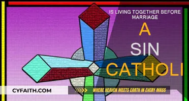 Cohabitation Before Marriage: Is It a Sin?