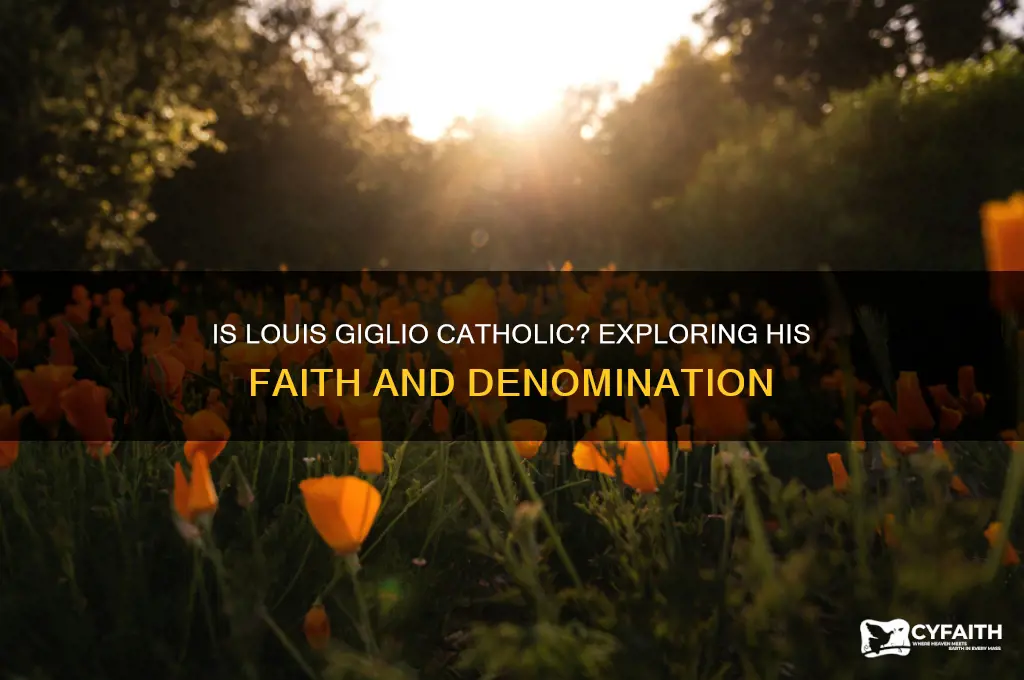 is louis giglio catholic