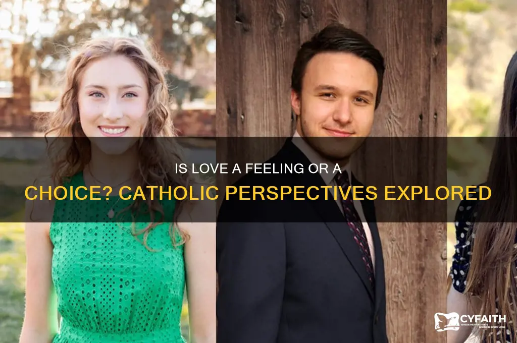 is love a feeling catholic