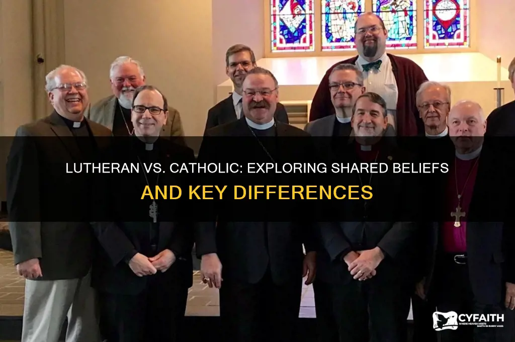 is lutheran and catholic similar