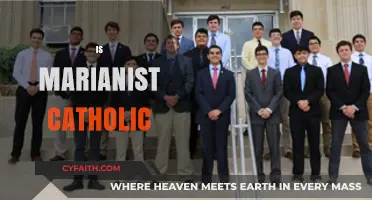 Understanding the Marianist Catholic Tradition: Beliefs, Practices, and Identity