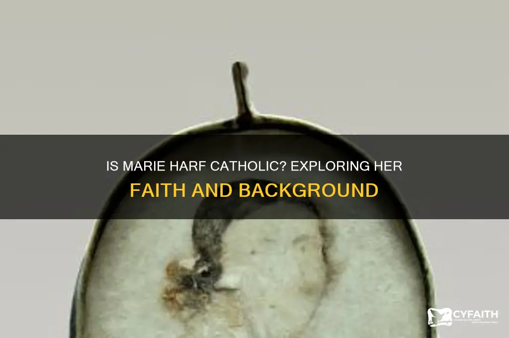 is marie harf catholic