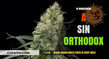 Marijuana and Orthodoxy: Exploring Sin, Morality, and Church Teachings