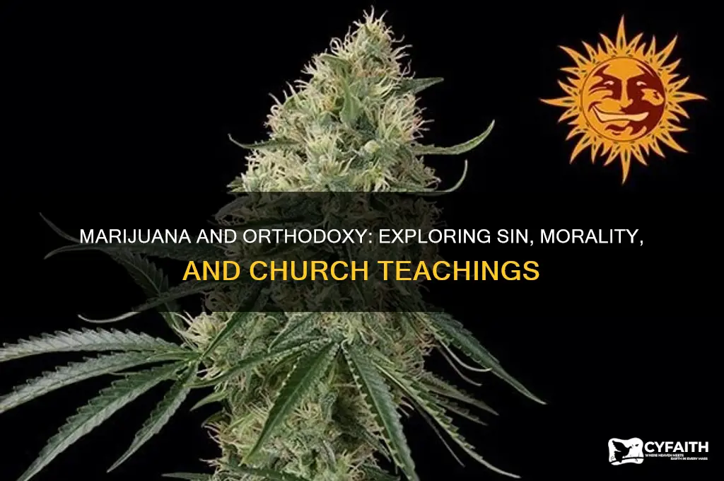 is marijuana a sin orthodox