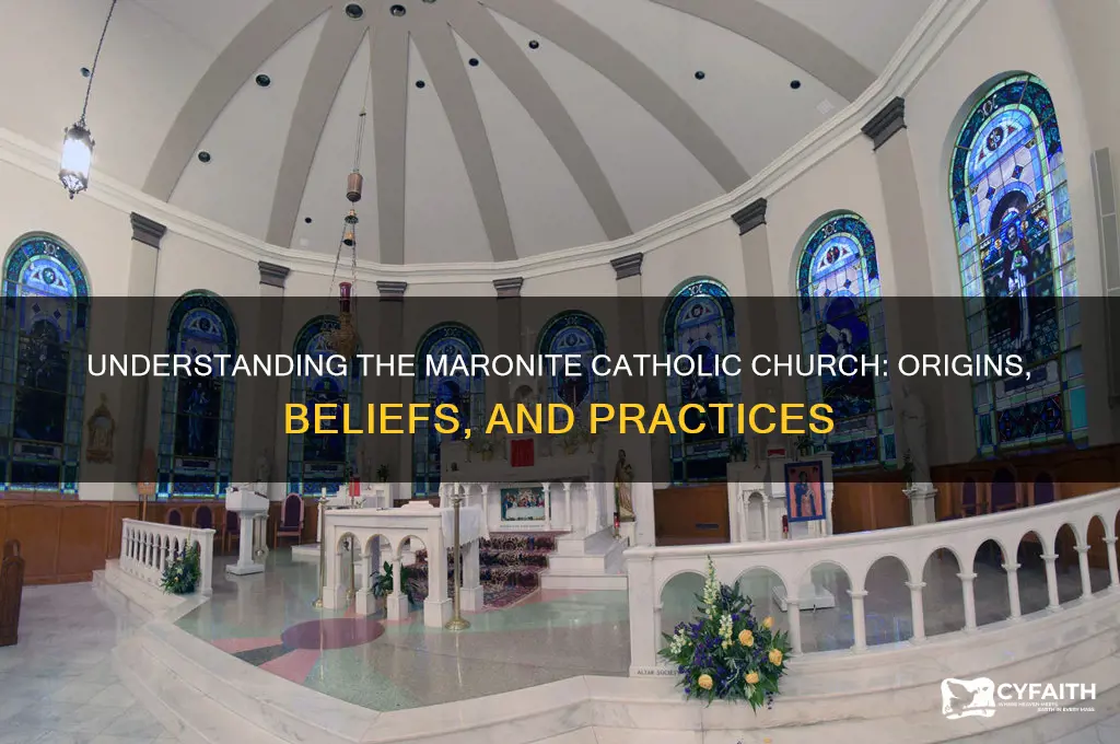 is maronite catholic