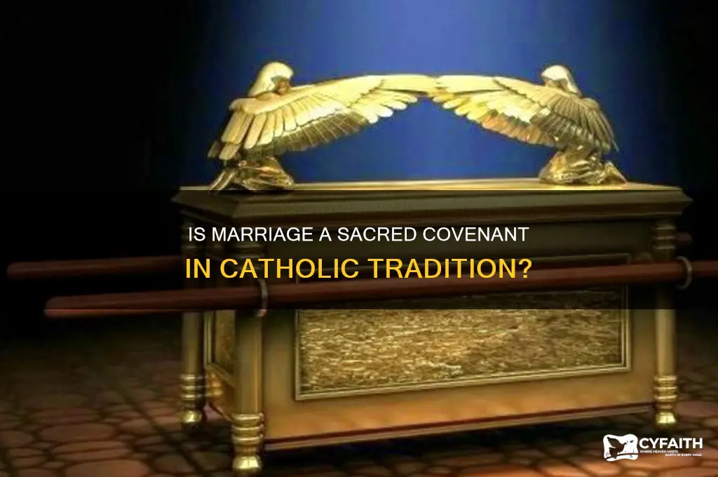 is marriage a covenant catholic