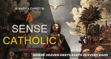 Mary: A Christ-like Figure in Catholic Teachings?