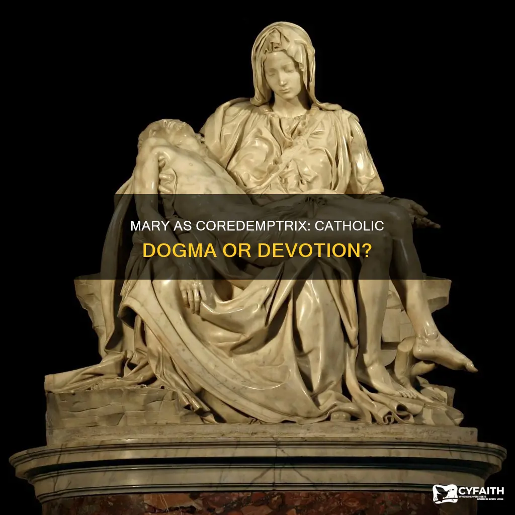 is mary as coredemptrix catholic dogma