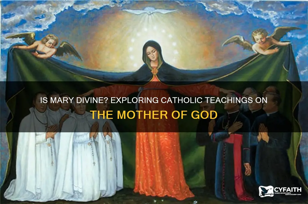 is mary divine catholic