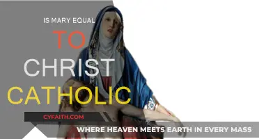 Mary's Equality to Christ in Catholic Teachings