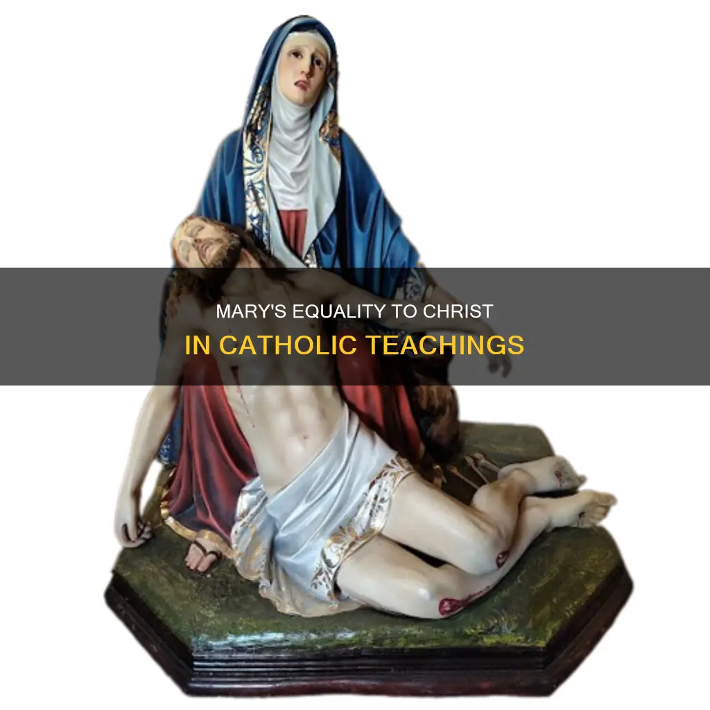 is mary equal to christ catholic