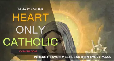 Mary's Sacred Heart: Catholic or Universal?
