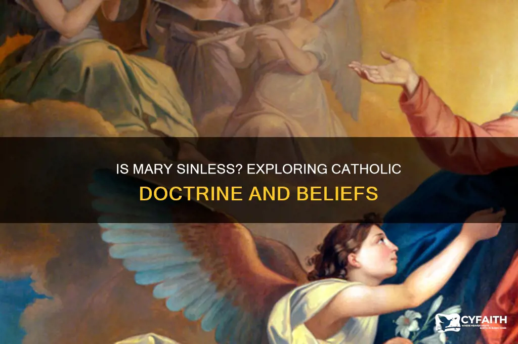is mary sinless catholic