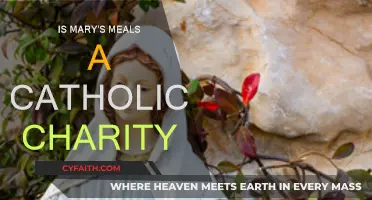 Mary's Meals: Catholic Charity for Children's Education