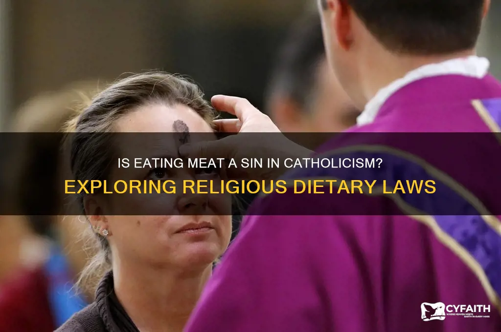 is meat a catholic sin