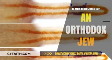Is Meir Feder Jones Day Celebrated by Orthodox Jews?