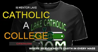 Mentor Lake Catholic: A College or Not?