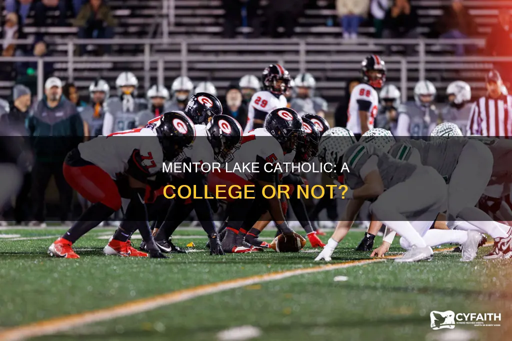 is mentor lake catholic a college
